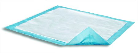 Attends¨ Care Dri-Sorb¨ Disposable Cellulose / Polymer Absorbent Underpad